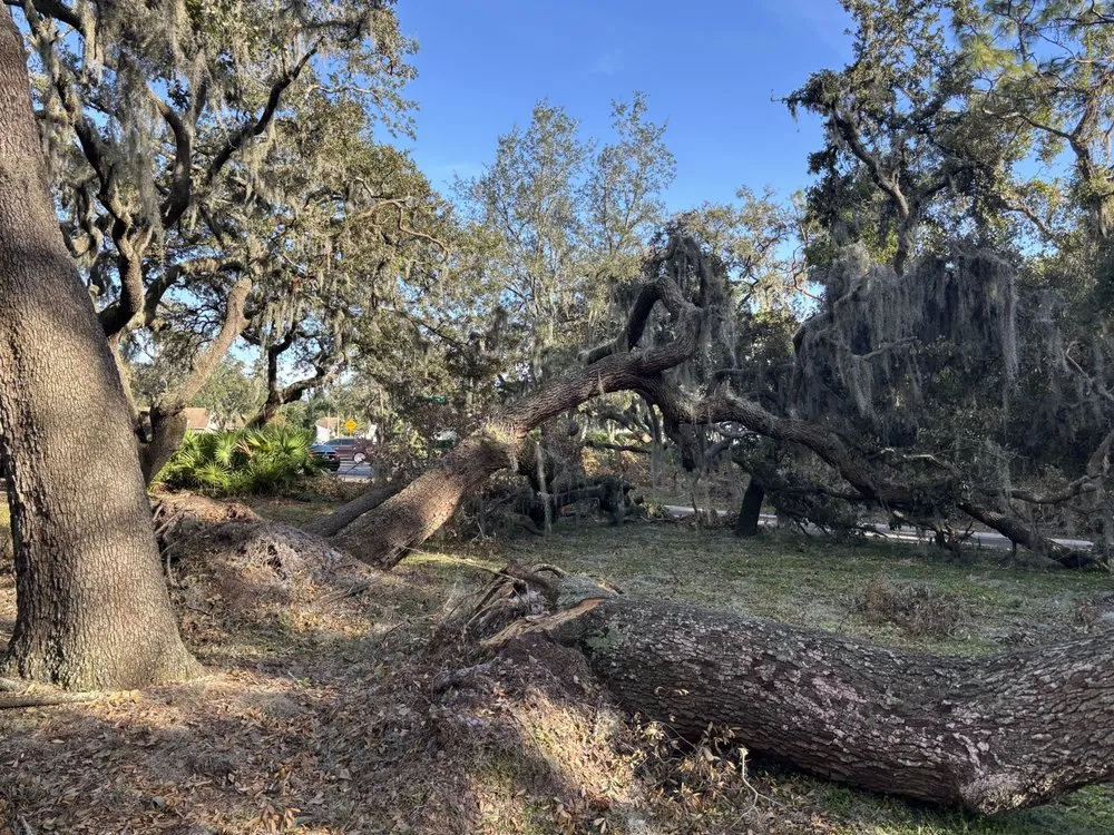 Reliable outdoor landscaping in Plant City, FL by Triad Services