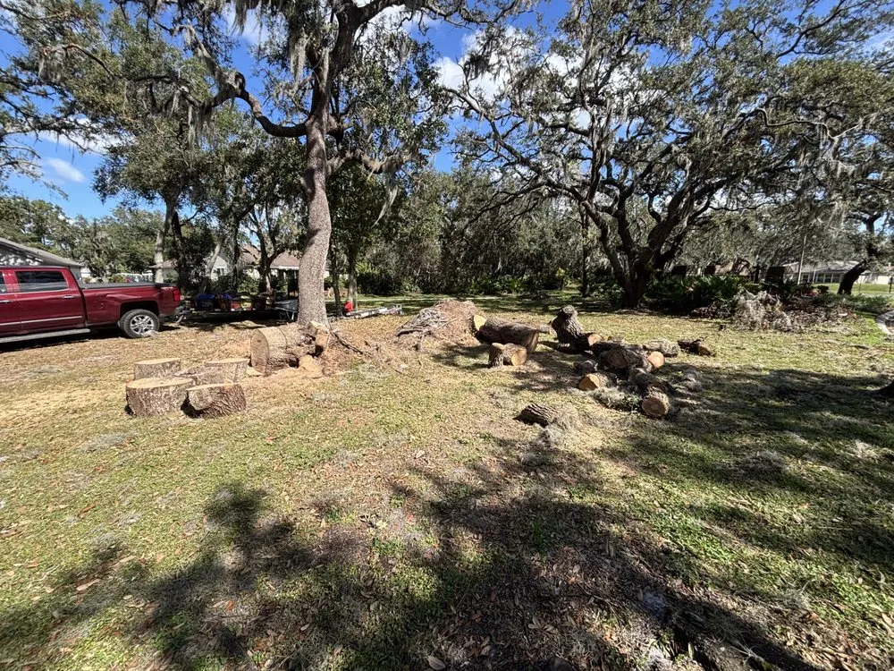 Custom landscape installation near you in Plant City, FL by Triad Services