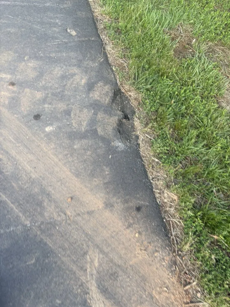 Trusted garden landscaping for outdoor upgrades across Thomasville, NC - Triad Tree Trimmers