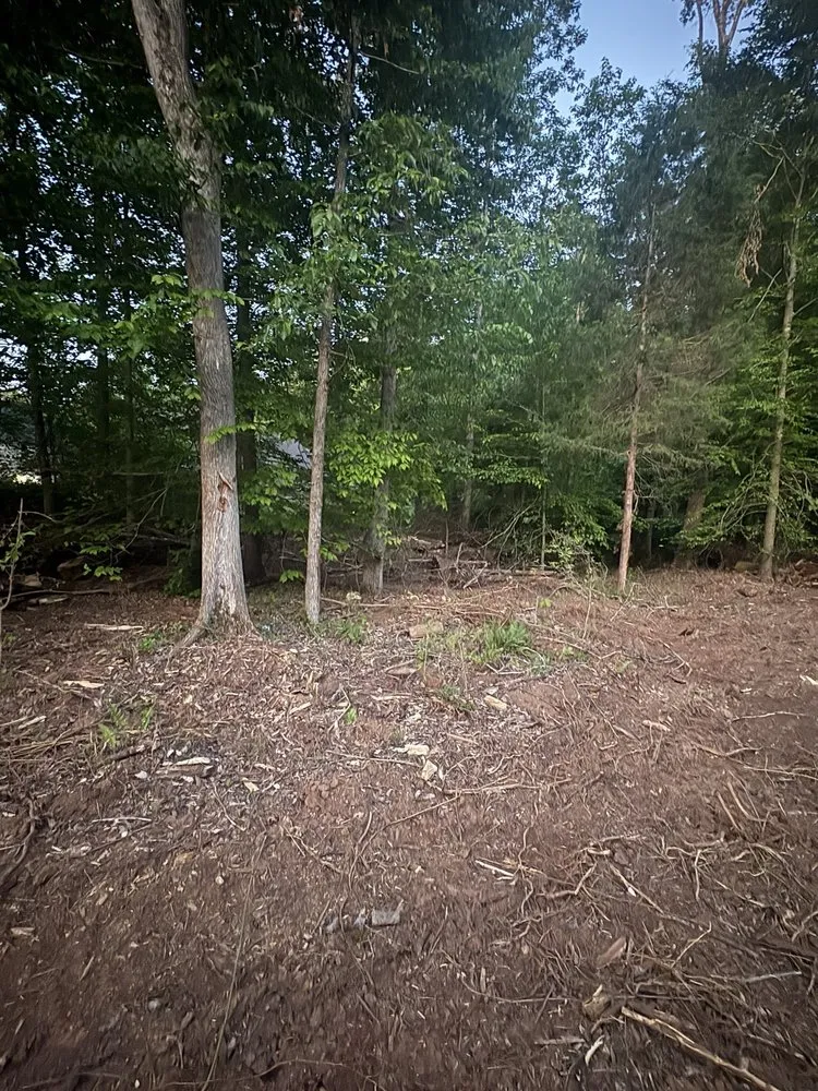 Top-rated outdoor landscaping for outdoor upgrades in Thomasville, NC by Triad Tree Trimmers