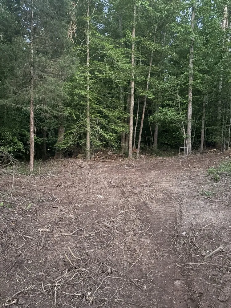 Top-rated residential landscaping experts serving Thomasville, NC - Triad Tree Trimmers