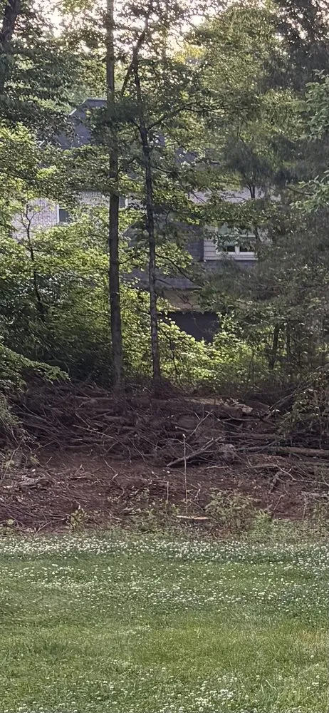 Expert yard cleanup service in Thomasville, NC - Triad Tree Trimmers