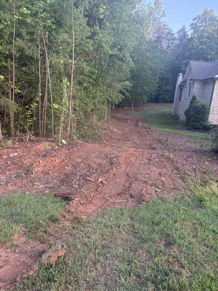 Affordable yard cleanup service experts serving Thomasville, NC - Triad Tree Trimmers