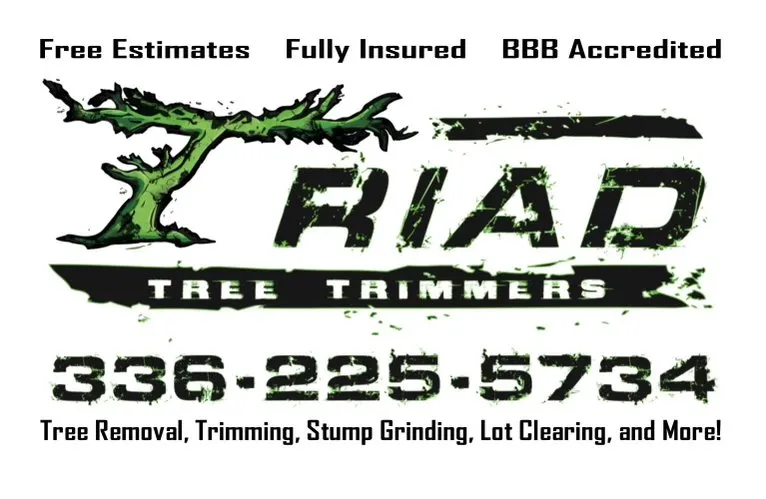 Reliable lawn care service for year-round maintenance in Thomasville, NC by Triad Tree Trimmers