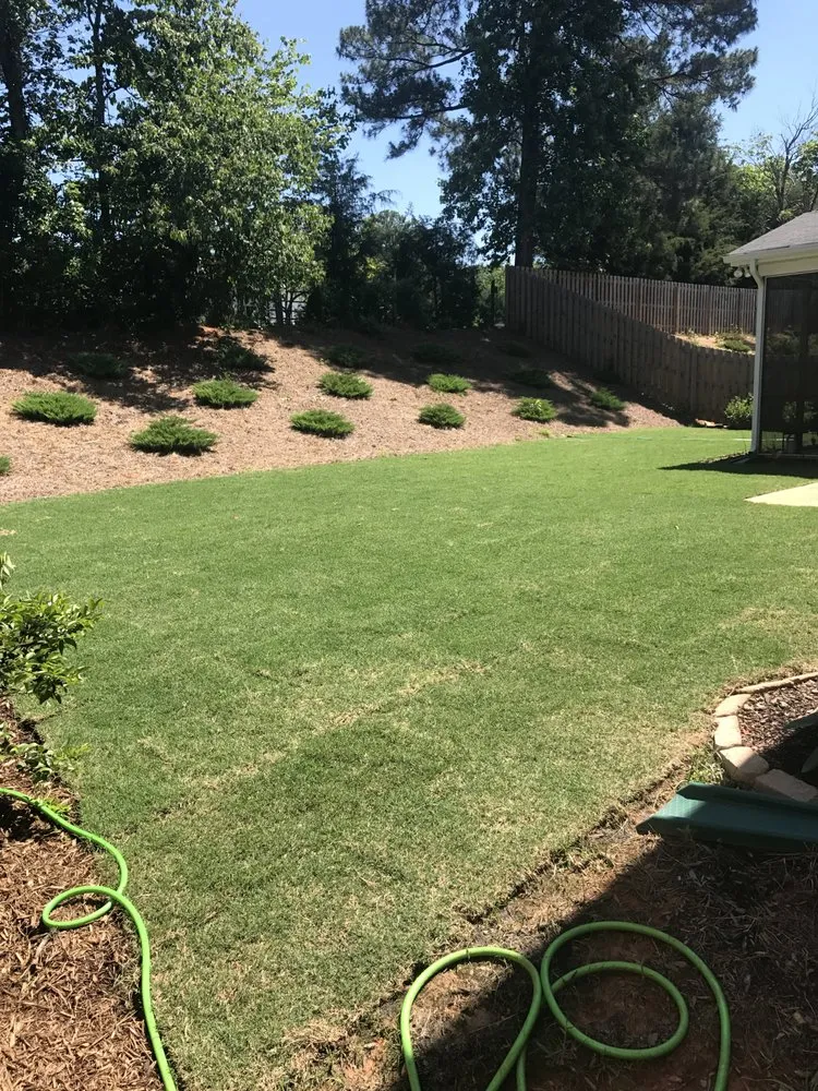 Local landscape installation in Apex, NC - Triangle Landscape Solutions