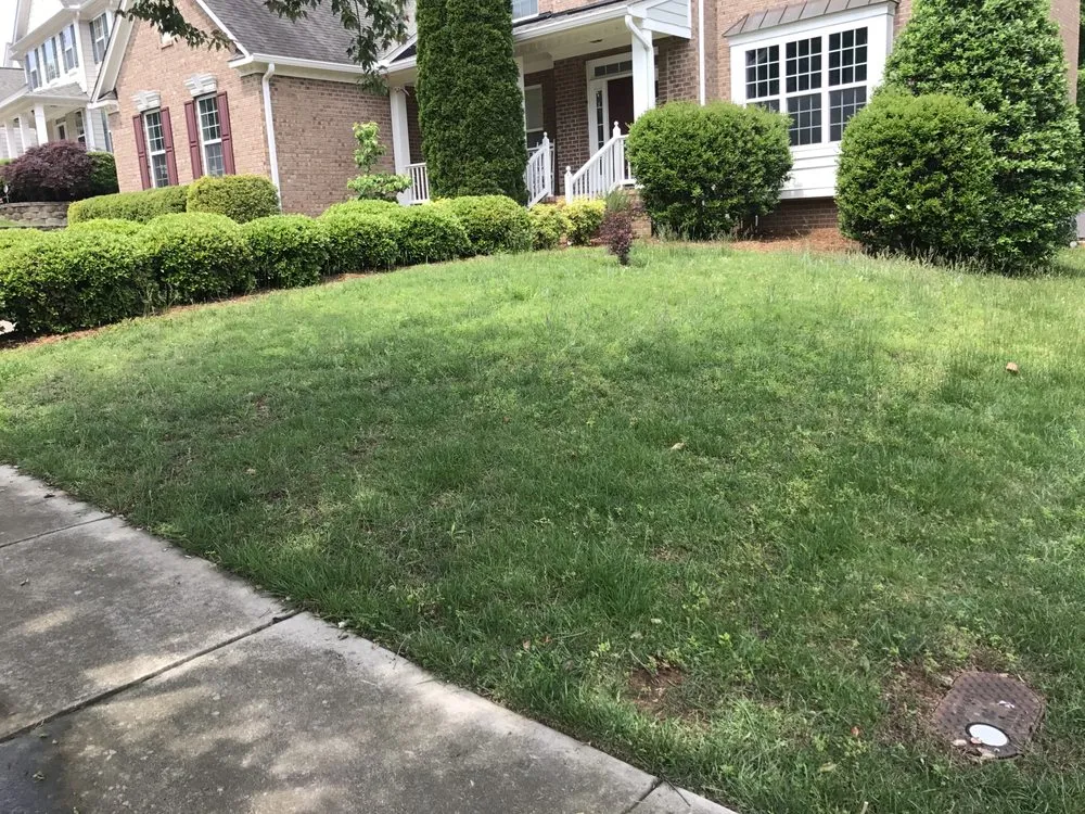 Custom landscape design in Apex, NC by Triangle Landscape Solutions