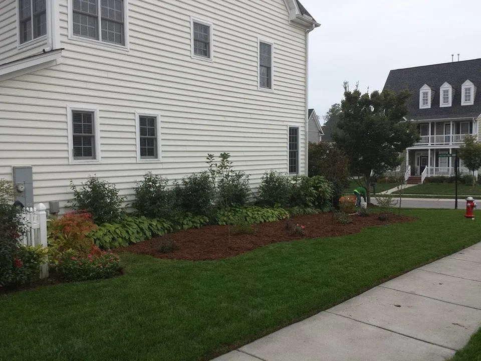 Trusted lawn care service near you across Garner, NC - Triangle Lawn Care