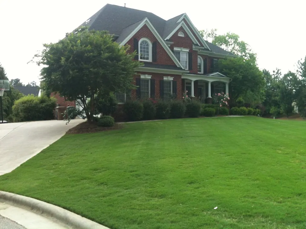Custom yard cleanup service experts serving Garner, NC - Triangle Lawn Care