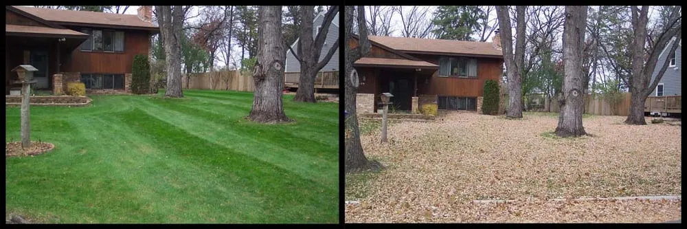 Professional lawn care service for homes across Garner, NC - Triangle Lawn Care