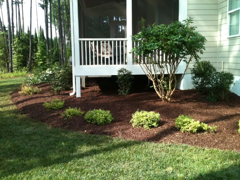 Top-rated yard maintenance in Garner, NC by Triangle Lawn Care