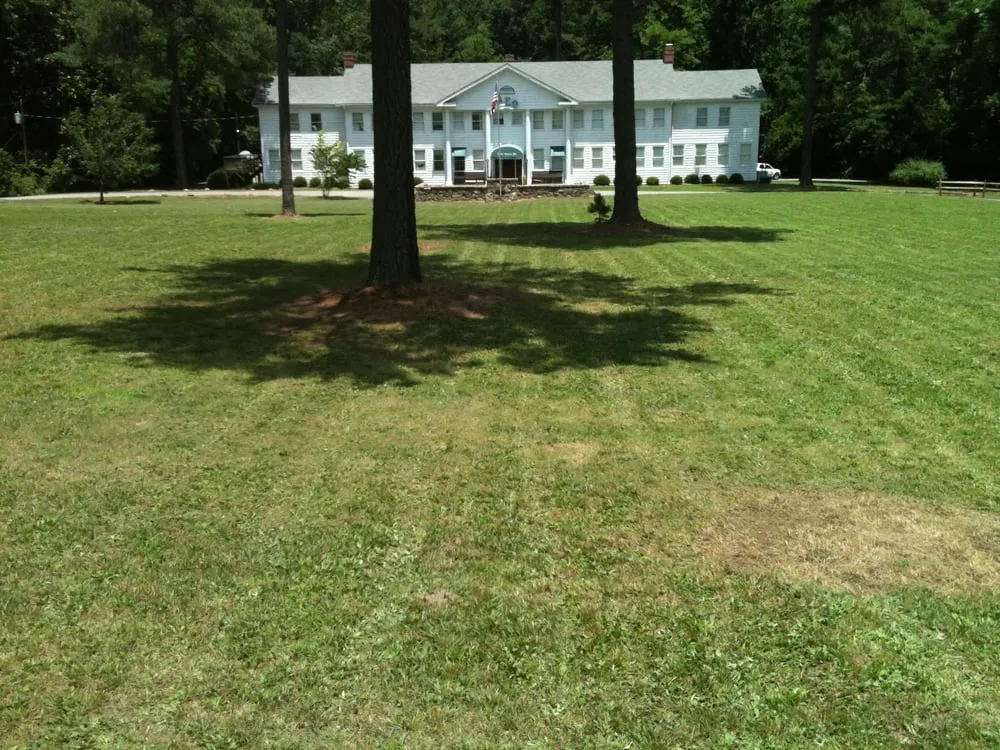 Reliable yard cleanup service experts serving Garner, NC - Triangle Lawn Care