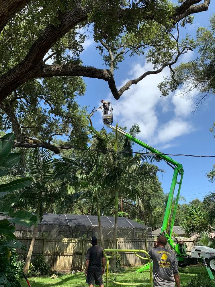Professional residential landscaping in St. Petersburg, FL - Triangle Tree Service & Landscaping