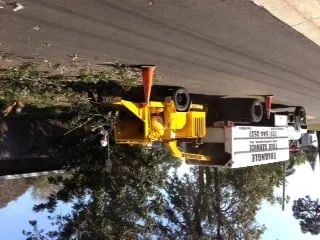 Trusted landscape installation in St. Petersburg, FL - Triangle Tree Service & Landscaping