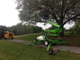 Reliable outdoor landscaping in St. Petersburg, FL by Triangle Tree Service & Landscaping