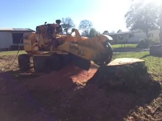 Expert lawn mowing service in St. Petersburg, FL - Triangle Tree Service & Landscaping