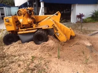 Professional landscape installation experts serving St. Petersburg, FL - Triangle Tree Service & Landscaping