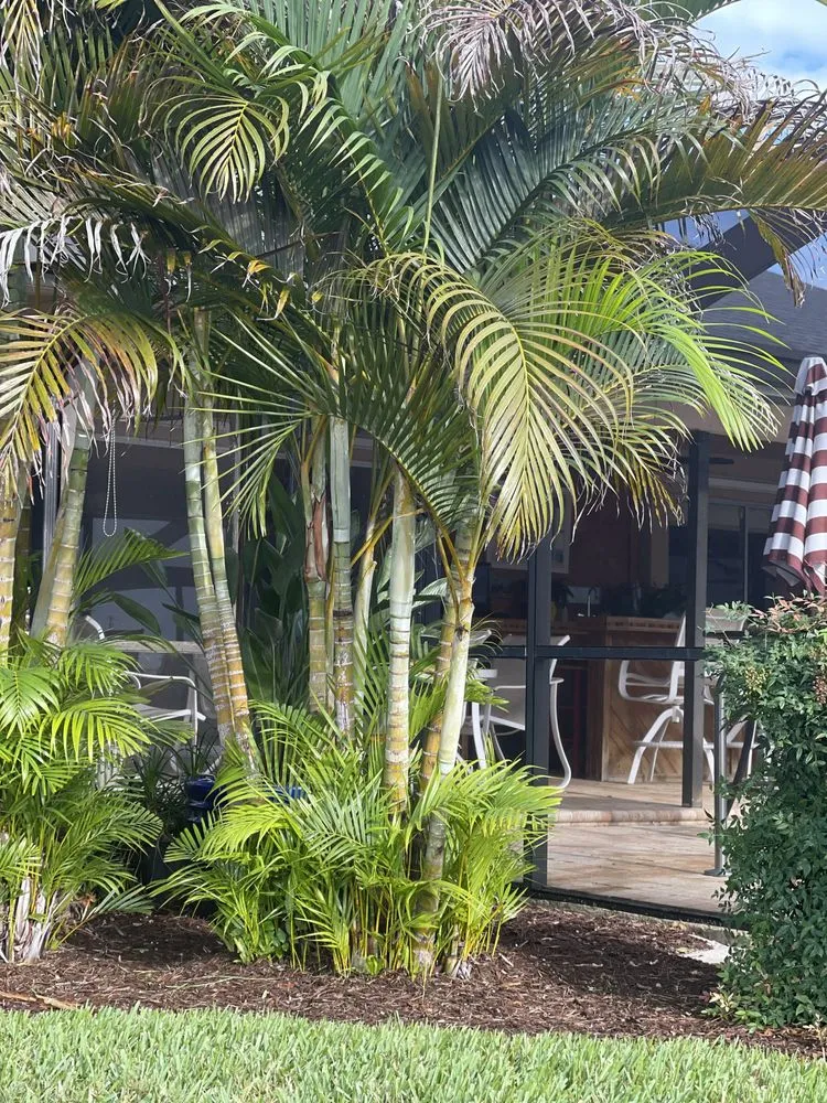 Local landscape design in St. Petersburg, FL - Triangle Tree Service & Landscaping