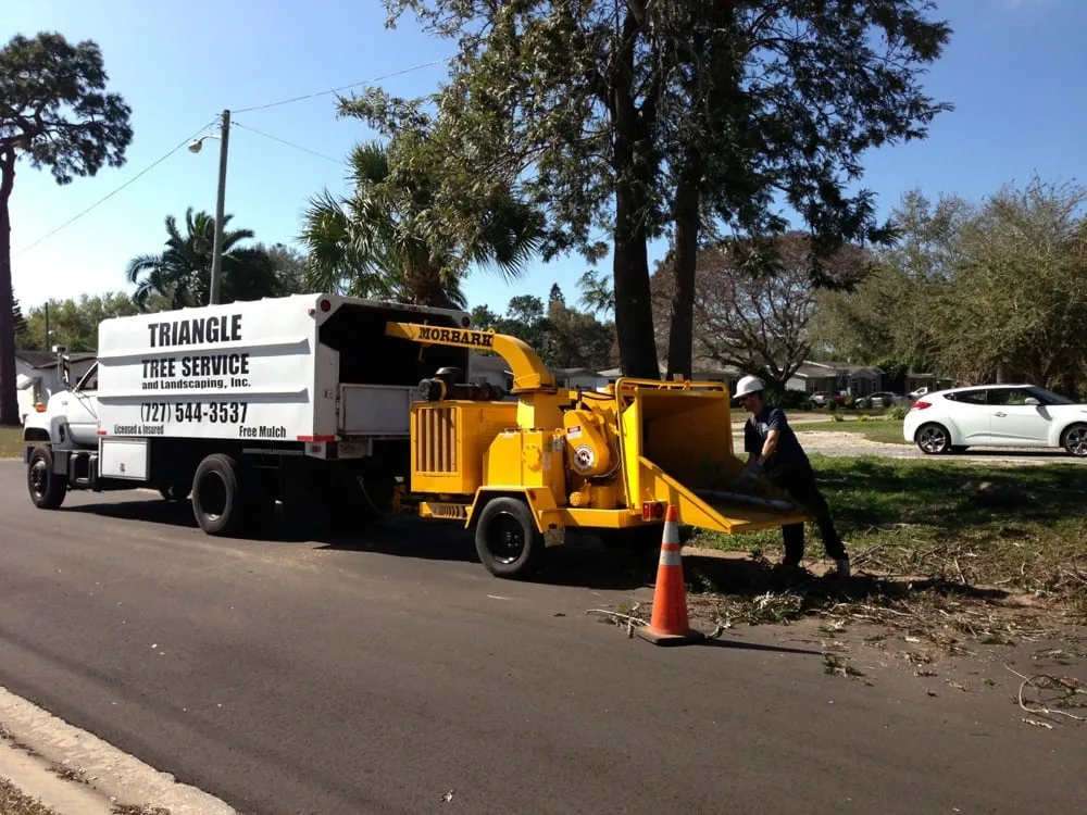 Reliable lawn care service experts serving St. Petersburg, FL - Triangle Tree Service & Landscaping