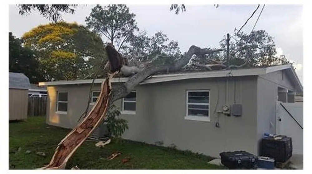 Reliable landscaping services in St. Petersburg, FL by Triangle Tree Service & Landscaping