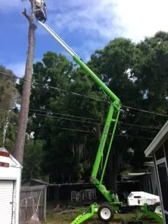 Custom lawn care service experts serving St. Petersburg, FL - Triangle Tree Service & Landscaping