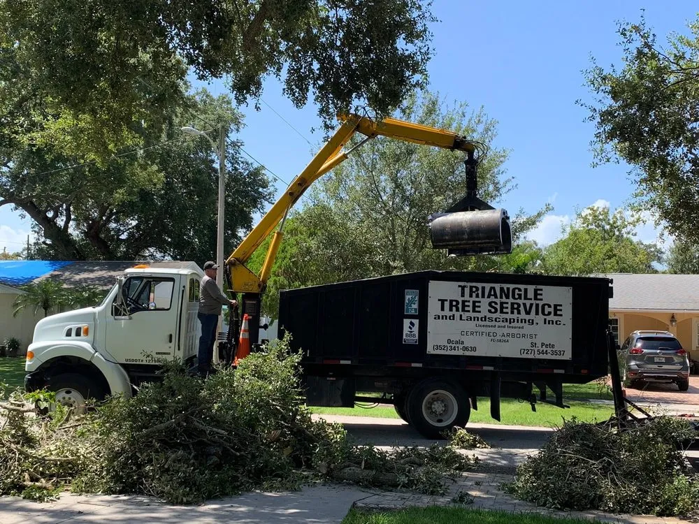 Custom outdoor landscaping in St. Petersburg, FL by Triangle Tree Service & Landscaping