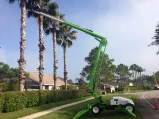 Local landscape design in St. Petersburg, FL by Triangle Tree Service & Landscaping