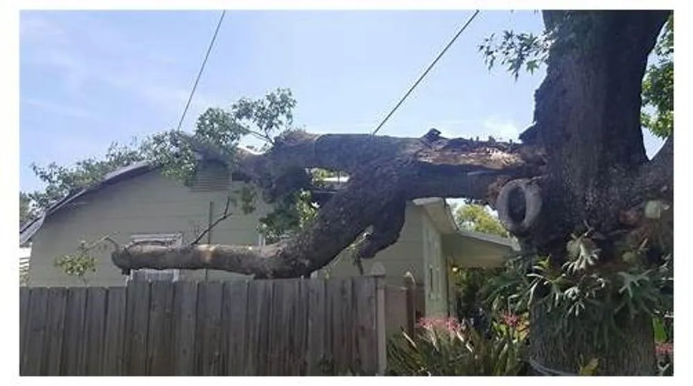 Top-rated landscape installation for beautiful yards in St. Petersburg, FL by Triangle Tree Service & Landscaping