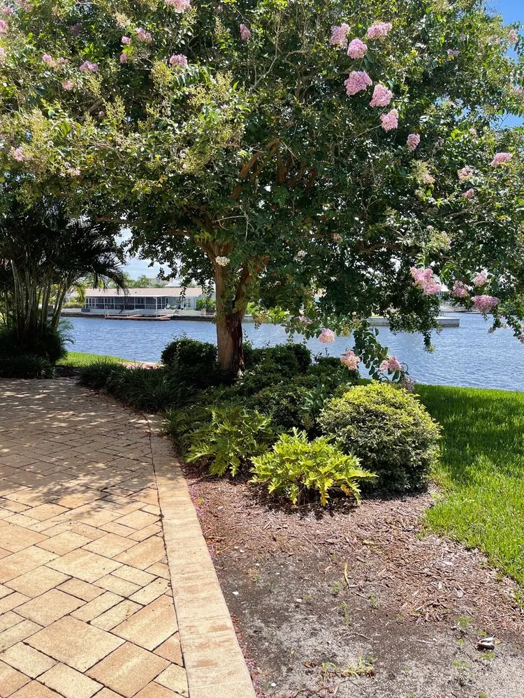 Trusted landscape design in St. Petersburg, FL - Triangle Tree Service & Landscaping