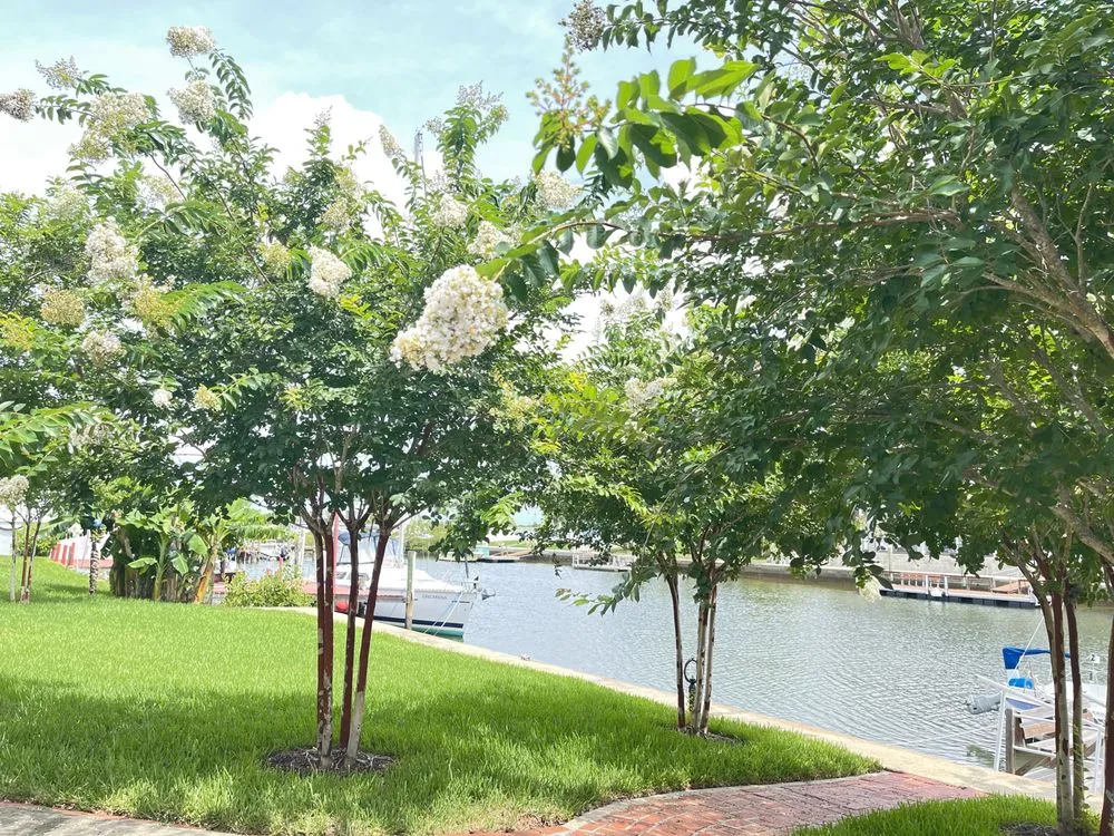 Custom landscape installation experts serving St. Petersburg, FL - Triangle Tree Service & Landscaping