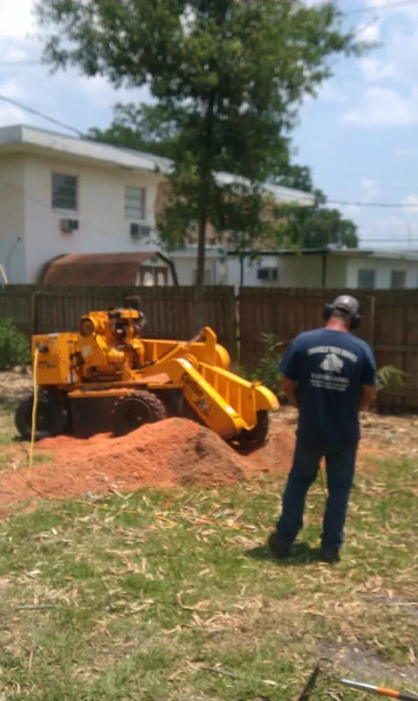 Trusted yard cleanup service in St. Petersburg, FL by Triangle Tree Service & Landscaping