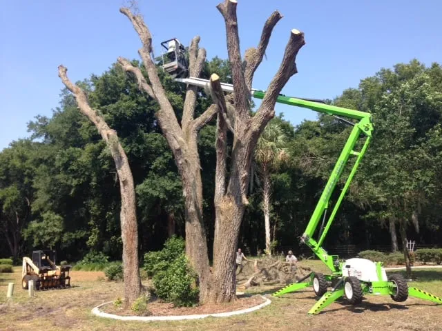 Professional yard cleanup service with custom design in St. Petersburg, FL by Triangle Tree Service & Landscaping