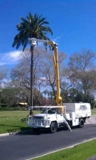 Top-rated outdoor landscaping experts serving St. Petersburg, FL - Triangle Tree Service & Landscaping