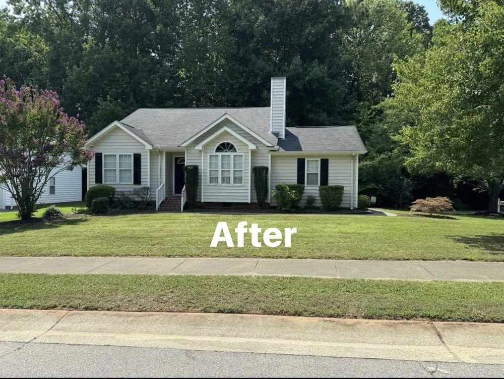 Professional landscape installation for beautiful yards in Raleigh, NC by Triangle Veteran Landscapers