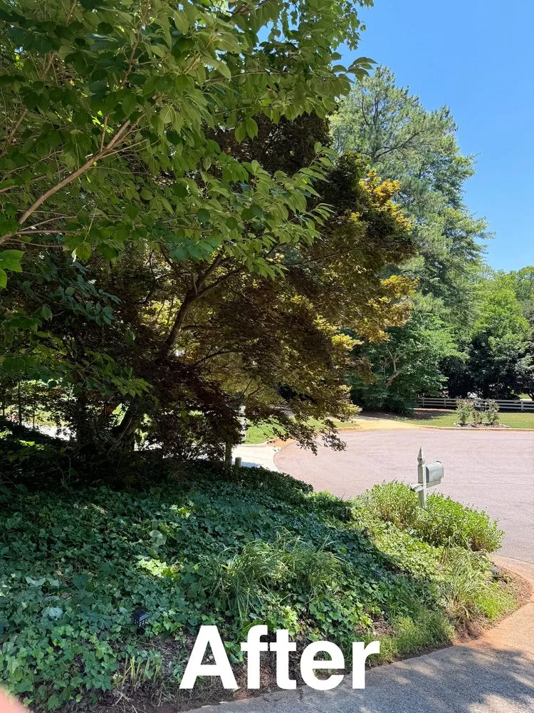 Affordable landscape design in Raleigh, NC by Triangle Veteran Landscapers