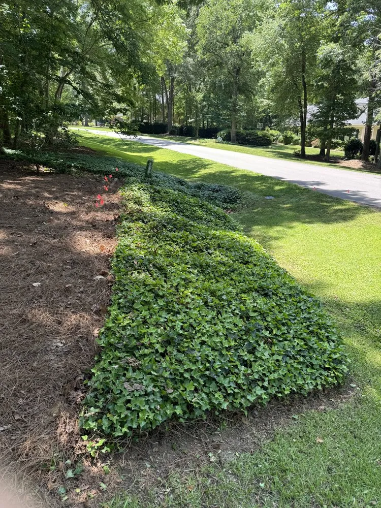 Custom lawn mowing service in Raleigh, NC - Triangle Veteran Landscapers