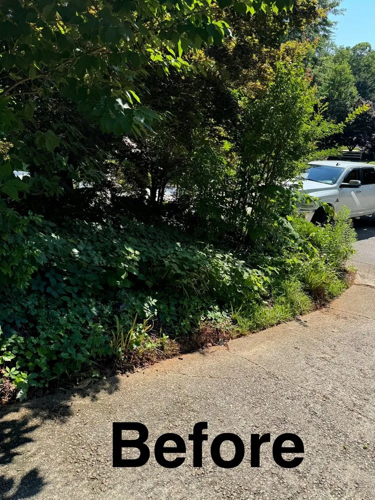 Custom garden landscaping for beautiful yards in Raleigh, NC by Triangle Veteran Landscapers