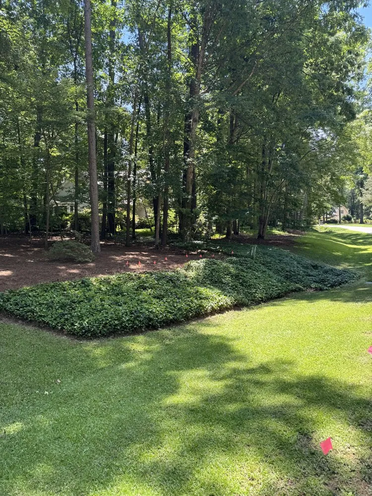 Trusted yard maintenance in Raleigh, NC by Triangle Veteran Landscapers