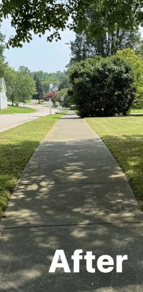 Local lawn care service for homes in Raleigh, NC by Triangle Veteran Landscapers