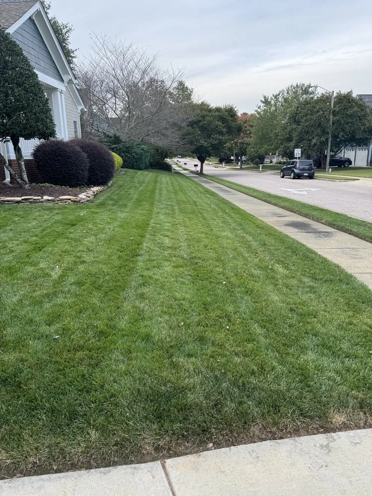 Expert landscape design near you across Raleigh, NC - Triangle Veteran Landscapers