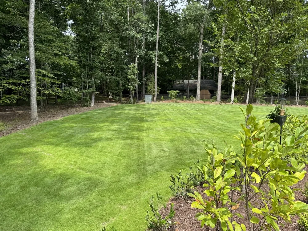 Expert yard maintenance in Raleigh, NC by Triangle Veteran Landscapers