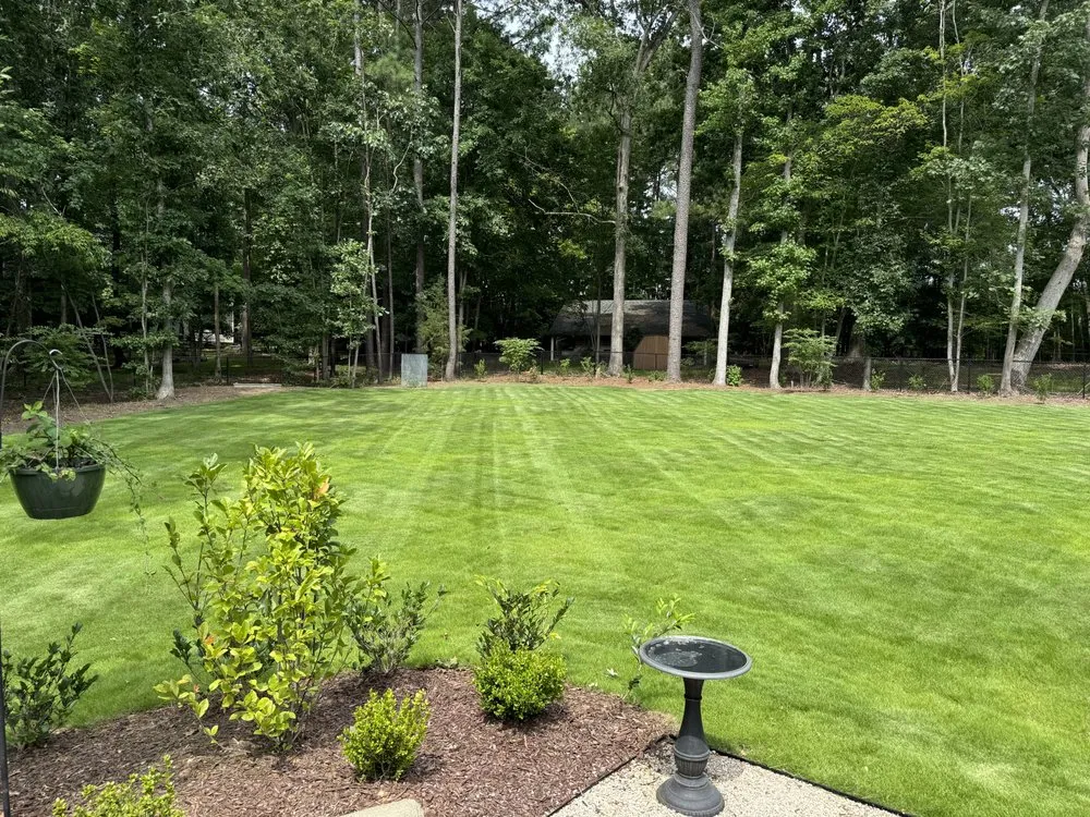 Expert yard maintenance in Raleigh, NC - Triangle Veteran Landscapers