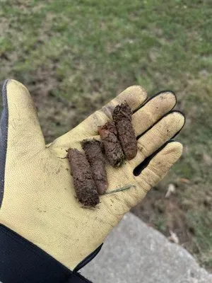 Triangle Veteran Landscapers Logo