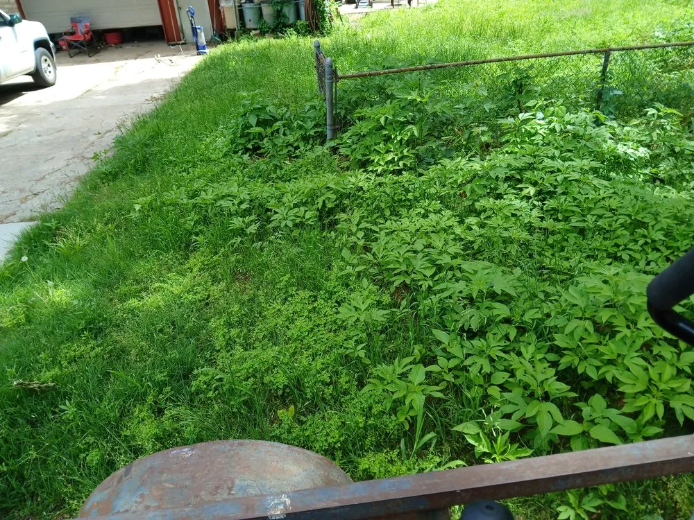 Reliable residential landscaping experts serving Glenpool, OK - Tribal Roots Lawn