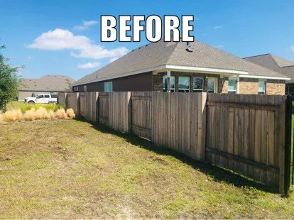 Affordable lawn care service experts serving Dallas, TX - Tribe