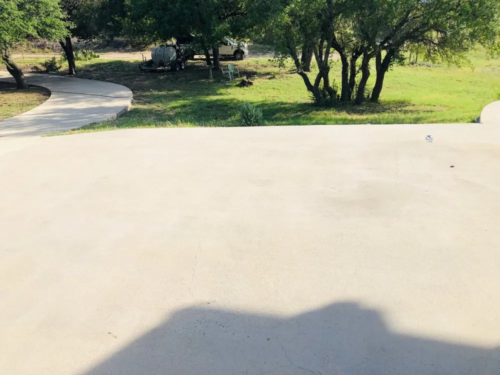 Top-rated yard cleanup service in Dallas, TX by Tribe