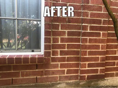 Reliable lawn mowing service experts serving Dallas, TX - Tribe