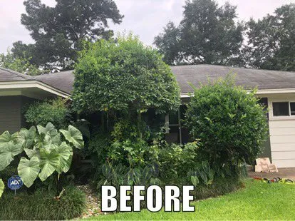 Reliable landscape design in Dallas, TX - Tribe