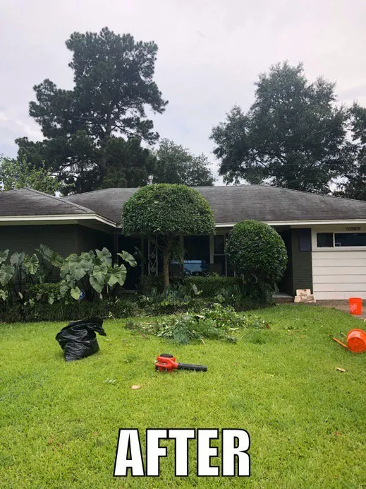 Local residential landscaping in Dallas, TX - Tribe