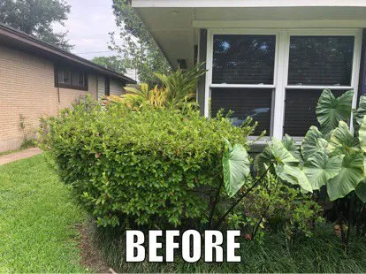 Trusted garden landscaping in Dallas, TX - Tribe