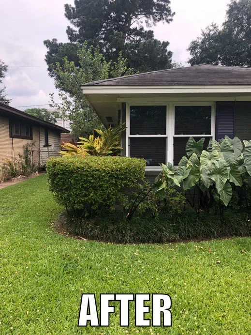 Expert landscape design in Dallas, TX - Tribe